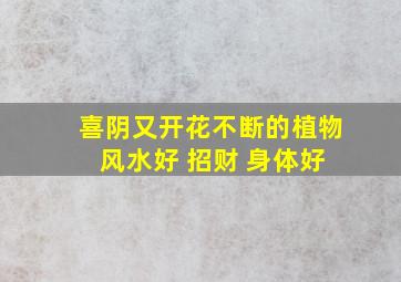 喜阴又开花不断的植物 风水好 招财 身体好